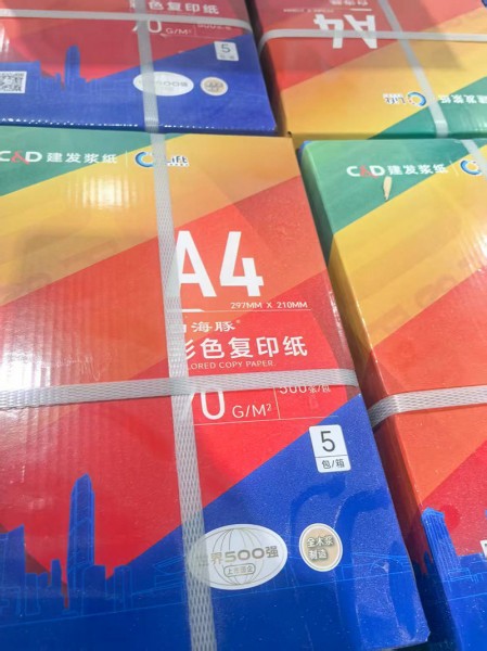 滨州静电复印纸6